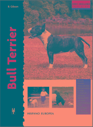 Bull Terrier (serie Excellence)