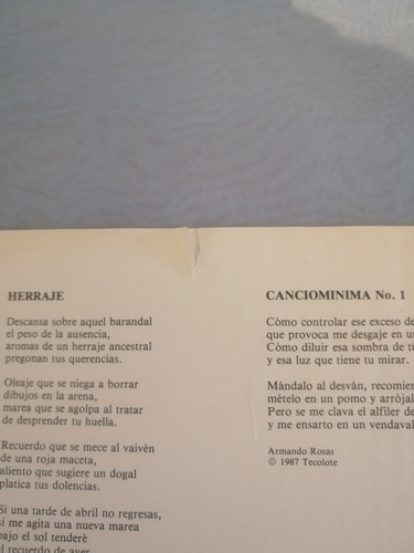 Armando Rosa, Toca, Fuga, Lp (Usado)