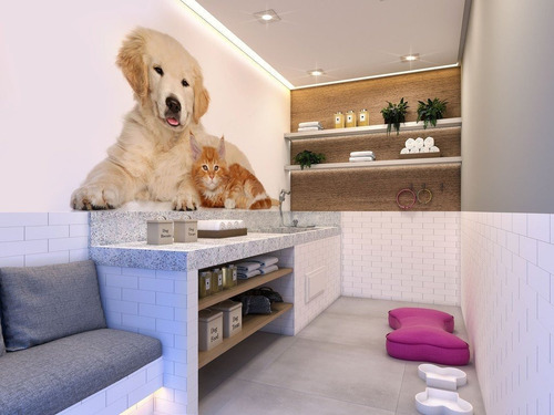 Imagem 6 de 7 de Apartamento À Venda No Bairro Moóca - São Paulo/sp - O-5456-13458