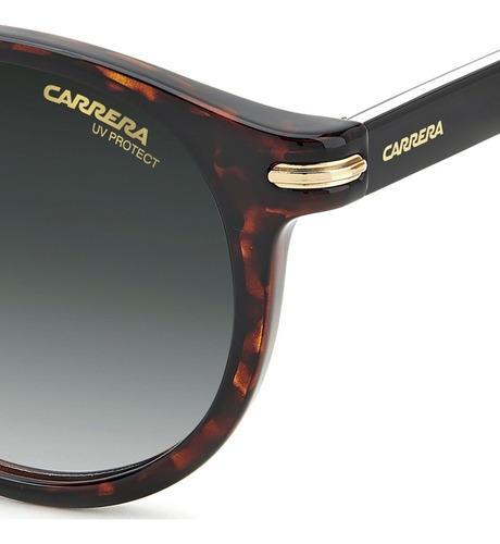 Óculos De Sol Carrera Tartaruga 301/s 086 509k S
