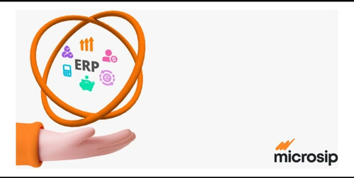 Microsip Asesoria En Linea Performance
