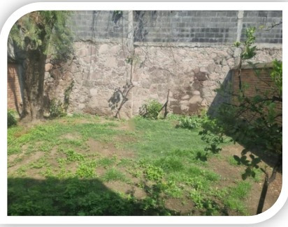 Imagen 7 de 9 de Casa, Uso Mixto, 3 Rec, 1.5 Baños, Cisterna, Alarma, 2 Autos