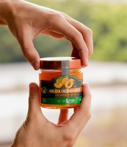 Geleia 100% fruta damasco zero açúcar 230g Puro & Leve