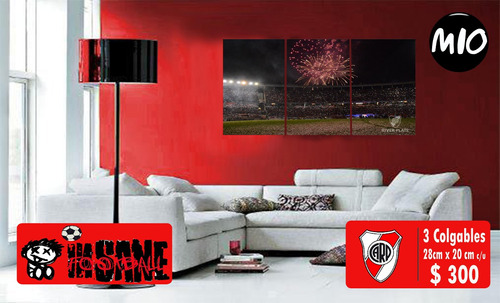 Cuadro De River Campeon Recopa Tripticos