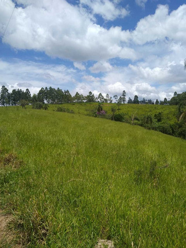 (k.a) Regiã Ode Otimo Acesso - 1.000m² - Facil Acesso
