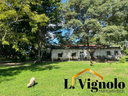 Excelente Casco De Estancia (la Aurora)