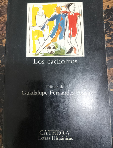 Los Cachorros, Mario Vargas Llosa, Catedra