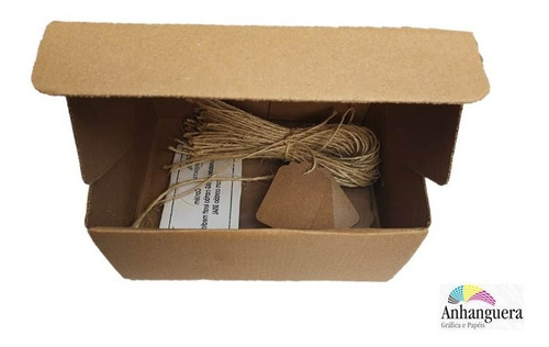 Tag Kraft 100 Unidades Com Cordão Sisal Grátis