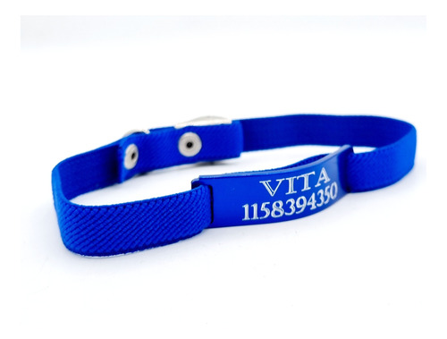 Chapita Gato Aluminio Azul+ Collar Reforzado Elastizado Azul