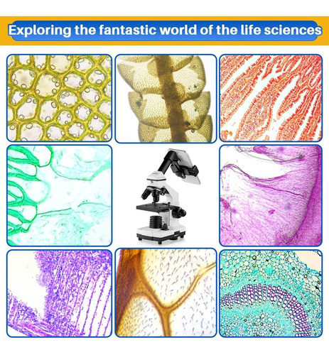 Microscopios 200x-2000x Para Niños Estudiantes Adultos, Con