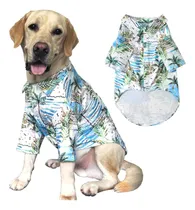 Comprar Camisa De Perro Hawaii Estampados Para Niñas Seabeach Camise