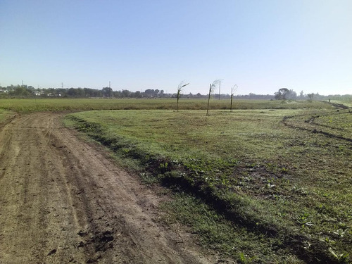 Terrenos En Venta - 324mts2 - Los Olivos, Melchor Romero, La Plata