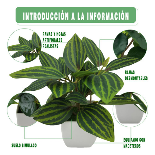 4 Macetas Plantas Artificiales Macetas Decorativas Bonsai