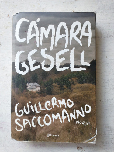 Camara Gesell Guillermo Saccomanno
