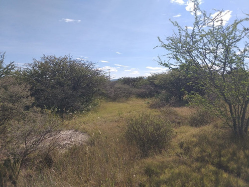 Imagen 7 de 12 de Terreno Propio Para Proyecto Residencial Campestre En San Miguel De Allende