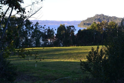 Imagen 4 de 10 de Sitio En Venta En Puerto Octay