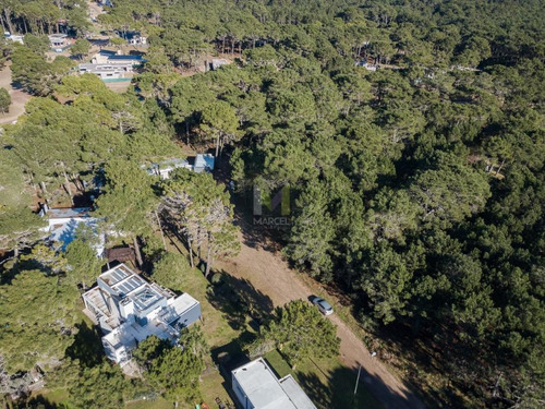 Imagen 11 de 12 de Lote En Venta - Alamos Ii Pinamar