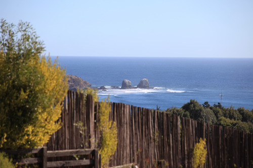 Vista Panorámica Al Mar En Punta De Lobos