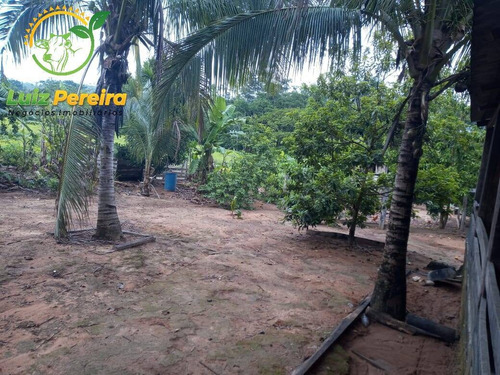 Imagem 6 de 15 de Fazenda À Venda Em Colniza -mt - 629,2 Hectares (dupla Aptidão) - 2108