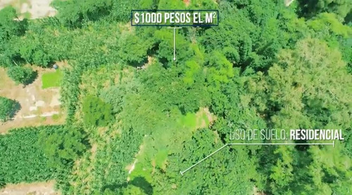 Imagen 5 de 13 de Terreno Residencial En Tepoztlán Con Vista Al Tepozteco