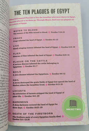 Imagen 5 de 9 de Biblia De Estudio Infantil En Ingles- Hcb Study Bible 4 Kids