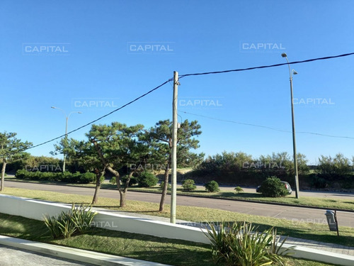 Imagen 21 de 30 de Venta Apartamento Primera Línea Playa Mansa De 3 Dormitorios Y Servicio - Punta Del Este Mansa