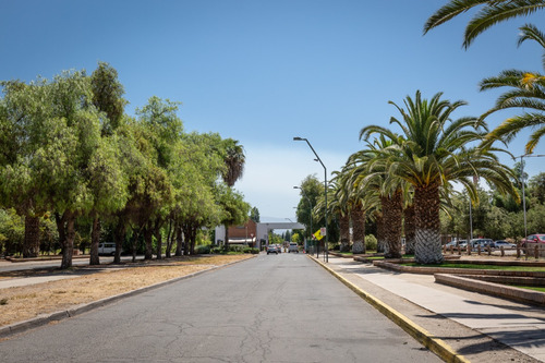 El Algarrobal Sur, Chicureo (im)