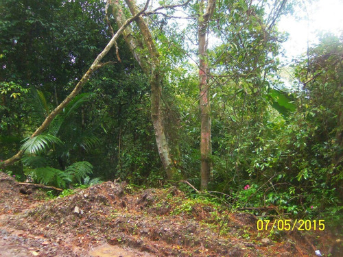 Imagem 8 de 10 de Terreno À Venda, Clube De Campo - Santo André/sp - 31946