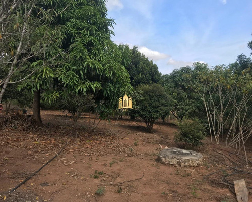Imagem 5 de 29 de Sitio No Bairro Caracois - Esmeraldas - St00008 - 32612131