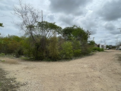 Terreno En Esquina En Venta Cholul