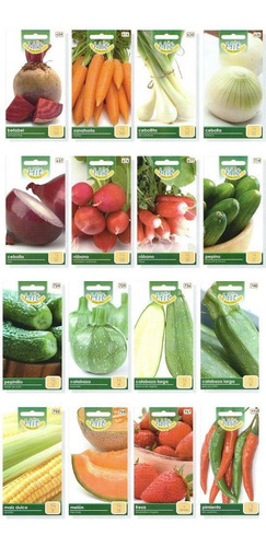 1 Sobre De Semilla De Cactus Variados