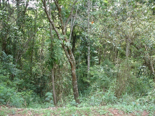 Imagem 7 de 12 de Lotes Em Condomínio Para Comprar No Green Park Em Nova Lima/mg - 2285