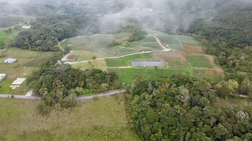 En. Se Vende Finca Agroproductiva Con Casa De Campo Bella