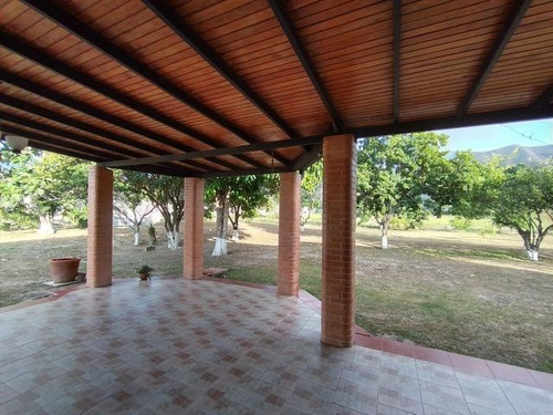 Imagen 29 de 30 de Joselyn Vargas Vende Finca Avicola En Vigirima 22-12944