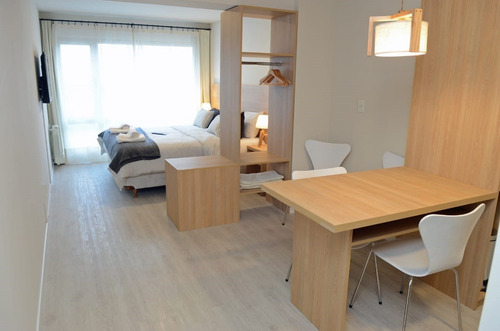 Imagen 1 de 11 de Monoambiente Céntrico Con Vista Al Lago