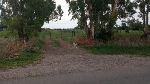 Imagen 6 de 11 de Venta, De Importante Fracción De Campo Sobre Ruta Prov. 54, Partido De Magdalena.