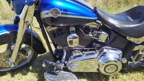 Imagen 7 de 9 de Harley Davidson