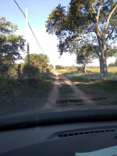 Terrenos Sobre La Costa Del Río, Inversión Ideal Para Disfutar