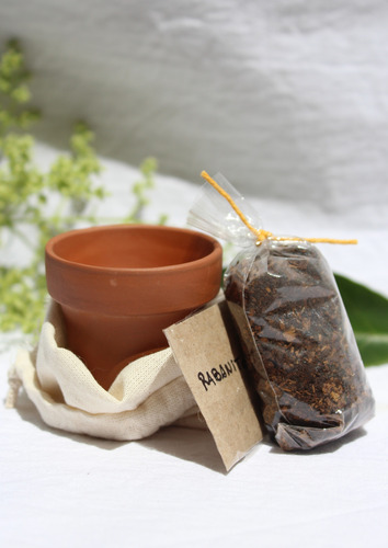 Kit Jardineria Set Siembra Maceta 5cm Semilla Tierra Bolsita