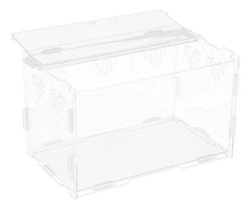 M Recipiente Para Terrarios De Reptiles S