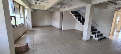 Imagen 7 de 14 de Oficinas En Renta 200 M2 Insurgentes Sur, San Ángel, Con Ph