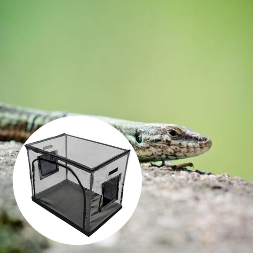 New Accesorios De Caja De Reptiles De Reptiles Reptilios