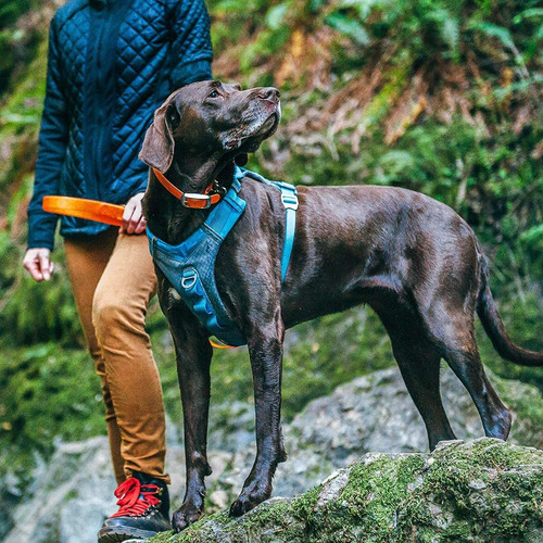 Kurgo Journey Air Arnés Para Perro, Arnés De Senderismo Para