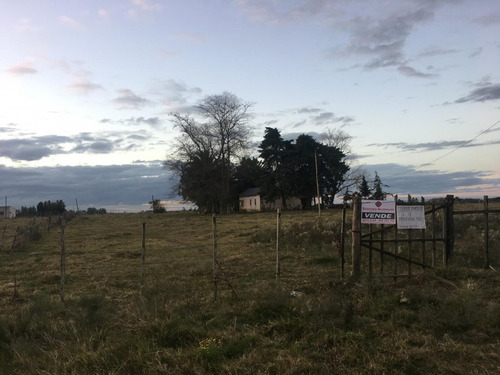 Imagen 2 de 6 de Oportunidad Inversores 3 Hás Dentro De Tala En Av. Principal