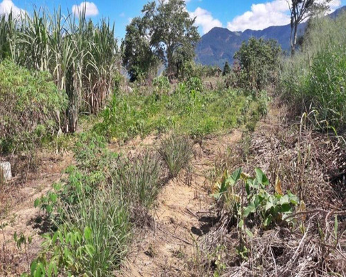 Imagem 7 de 18 de Terreno Em Santa Cândida - 200 - 34209886