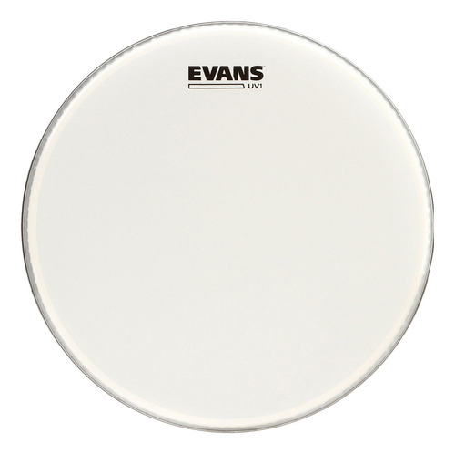 Parche Evans 22      Mod. Bd22uv1