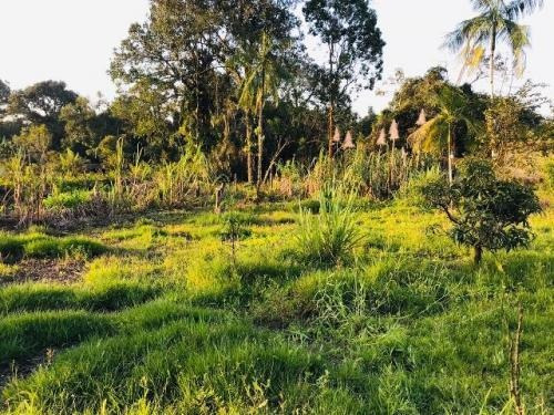 Imagem 7 de 13 de Chácara Lado Serra Em Itanhaém - 7032