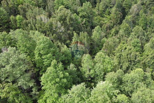 Venta Parcela Pucón Con Acceso A Rio Carhuello