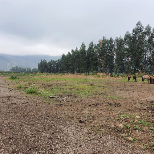 Excelente Terreno En Sector Roma San Fernando