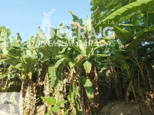 Venta Terreno En Guatire (em)